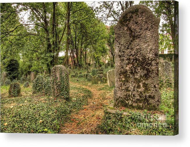 Czech Acrylic Print featuring the photograph Old Jewish Cemetery #8 by Michal Boubin