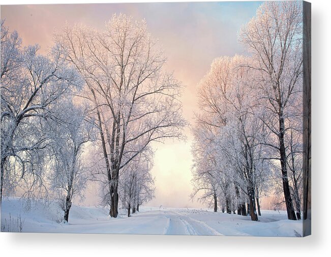 Amazing Acrylic Print featuring the photograph Amazing Landscape With Frozen Snow Covered Trees At Sunrise  #9 by Oleg Yermolov