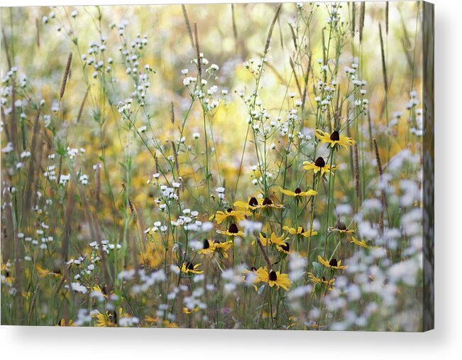 Flowers Acrylic Print featuring the photograph A Beautiful Mess by Angie Rea