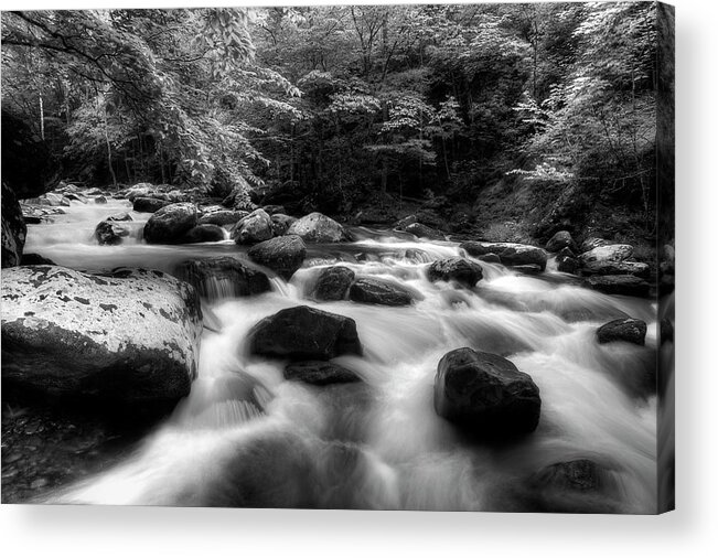 Monochrome River Scene Acrylic Print featuring the photograph A Black And White River by Mike Eingle