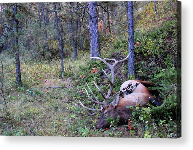 Bow Acrylic Print featuring the photograph A Bowhunters Harvest by Brook Burling