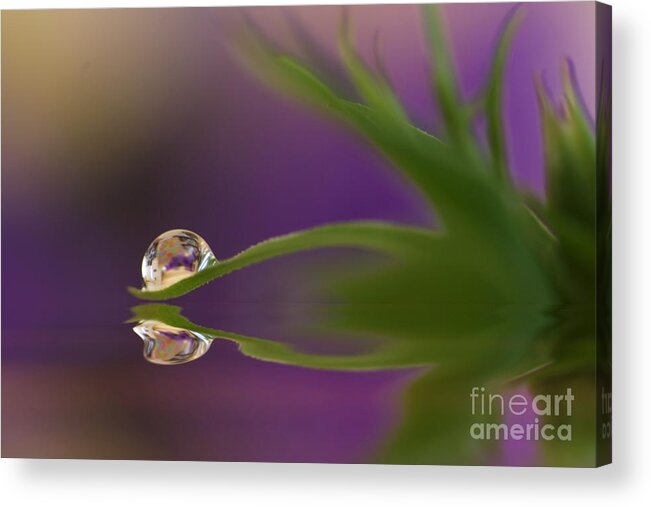 Pond Acrylic Print featuring the photograph A Colourful Soul by Kym Clarke