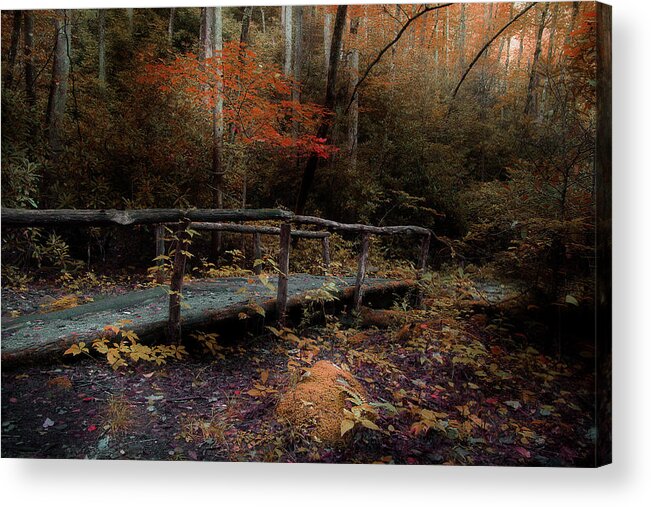 Nature Trail Bridge Acrylic Print featuring the photograph A Day Hiking by Mike Eingle