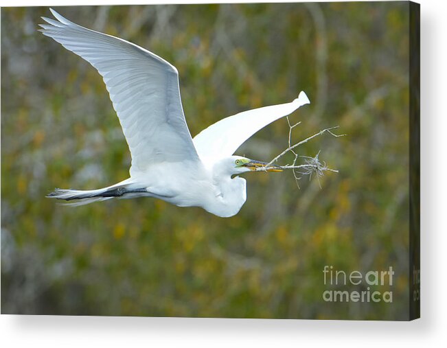 Great Acrylic Print featuring the photograph A Days Work by Quinn Sedam