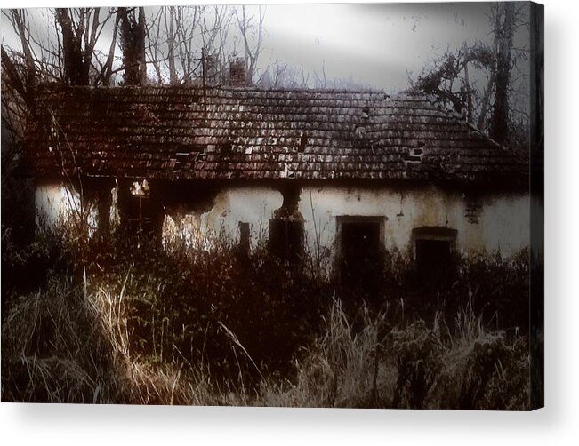 House Acrylic Print featuring the photograph A House in the Woods by Mimulux Patricia No