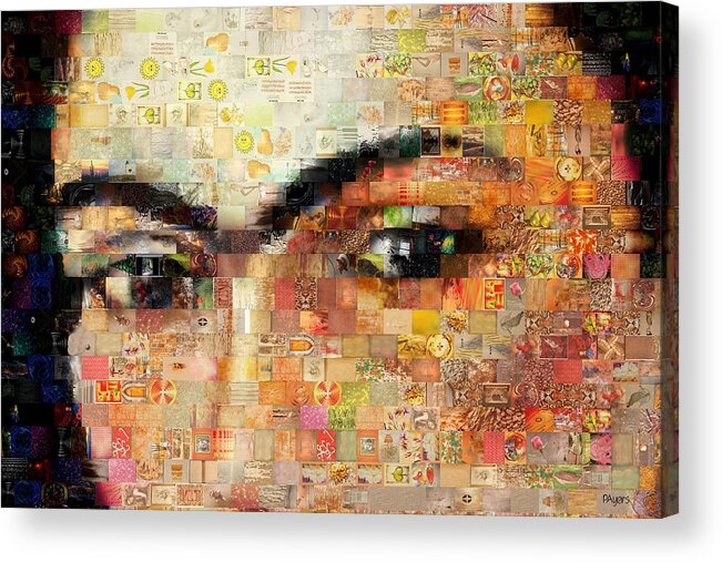 Paula Ayers Acrylic Print featuring the photograph A Mosaic of Life Thru Her Eyes by Paula Ayers