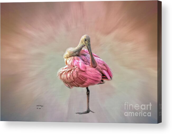 Birds Acrylic Print featuring the photograph A Mother Nature's Masterpiece by DB Hayes
