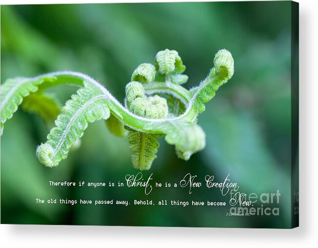 2 Corinthians 5:17 Acrylic Print featuring the photograph A New Creation by Diane Macdonald
