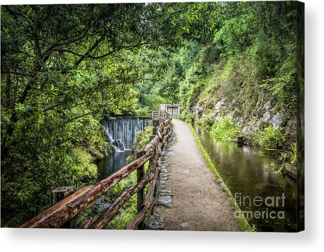 Mazonovo Acrylic Print featuring the photograph A path between two waters by RicardMN Photography