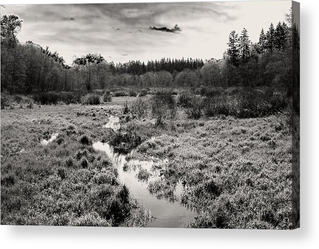 Calm Acrylic Print featuring the photograph A Place To Think Part 1 by Monte Arnold