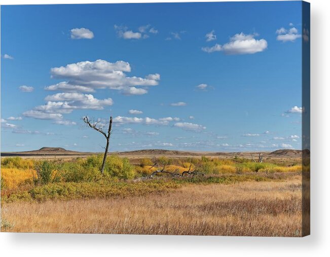 Canada Acrylic Print featuring the photograph A Prairie Autumn by Allan Van Gasbeck