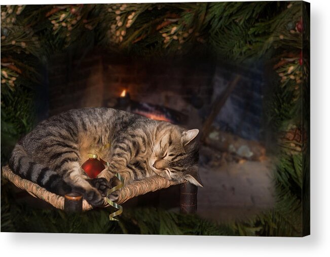 Cat Acrylic Print featuring the photograph A Purrfect Christmas by Robin-Lee Vieira