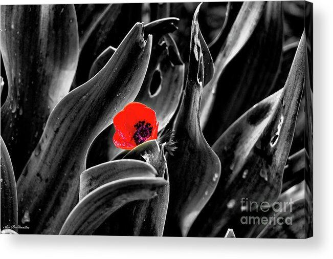 Background Acrylic Print featuring the photograph A red Dot l.k. by Arik Baltinester