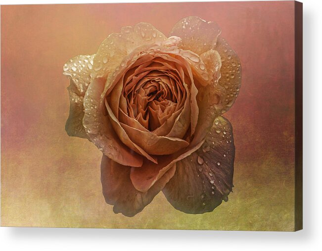 Flowers Acrylic Print featuring the photograph A Rose for Mother's Day by Peggy Blackwell