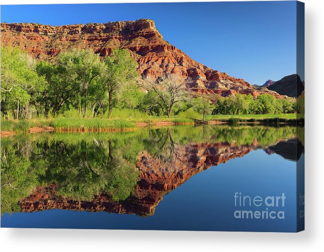 Usa Acrylic Print featuring the photograph A serene morning In Zion N.P by Henk Meijer Photography