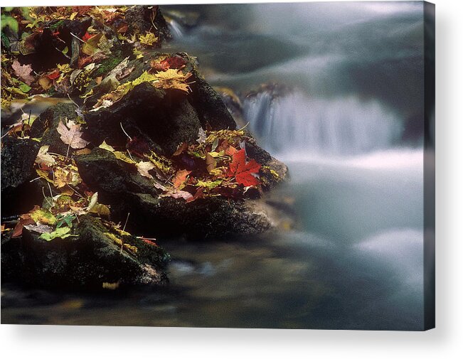 River Acrylic Print featuring the photograph A Special Place by DArcy Evans