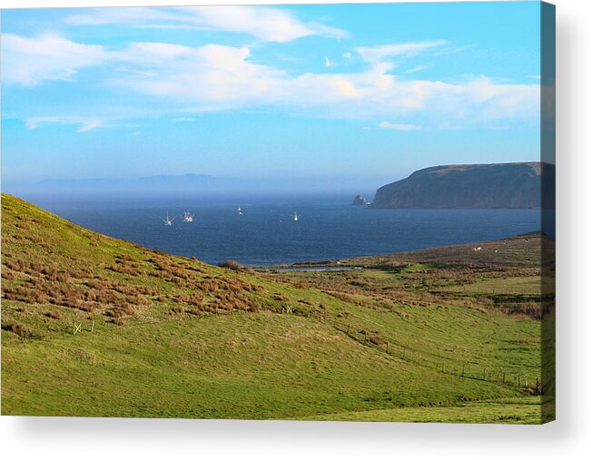 Point Reyes Acrylic Print featuring the photograph A View to Drakes Estero Point Reyes by Bonnie Follett