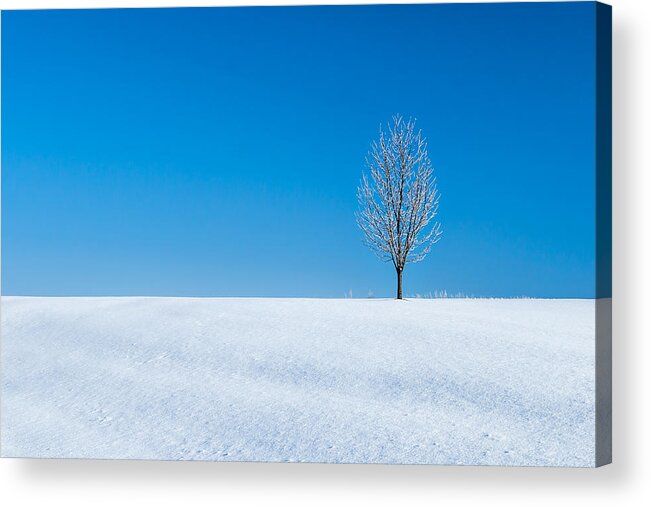 Cold Acrylic Print featuring the photograph A Winter's Landmark by Todd Klassy