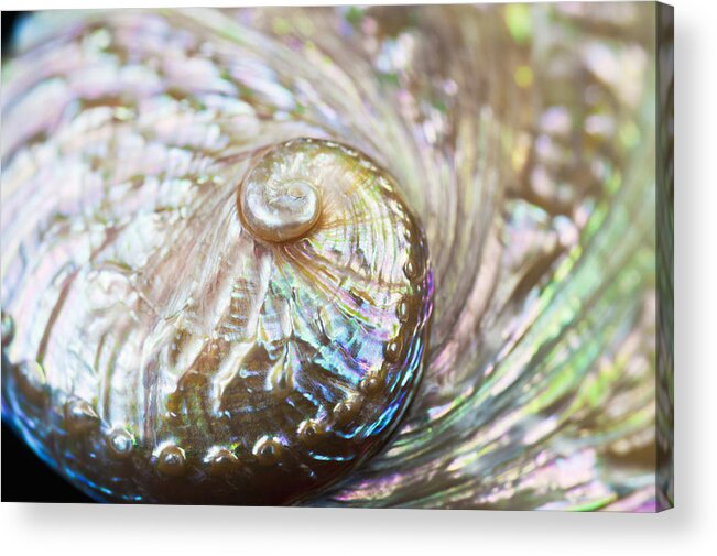 Abalone Acrylic Print featuring the photograph Abalone Shell Close-up by Bill Brennan - Printscapes