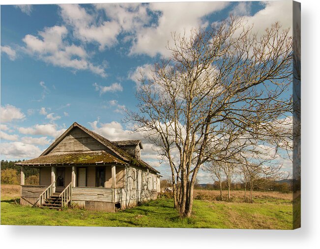 Abandoned Acrylic Print featuring the photograph Abandoned Homestead by Kami McKeon