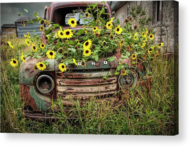 Art Acrylic Print featuring the photograph Abandoned Old Ford Truck with Yellow Flowers in the Ghost Town by Okaton South Dakota by Randall Nyhof