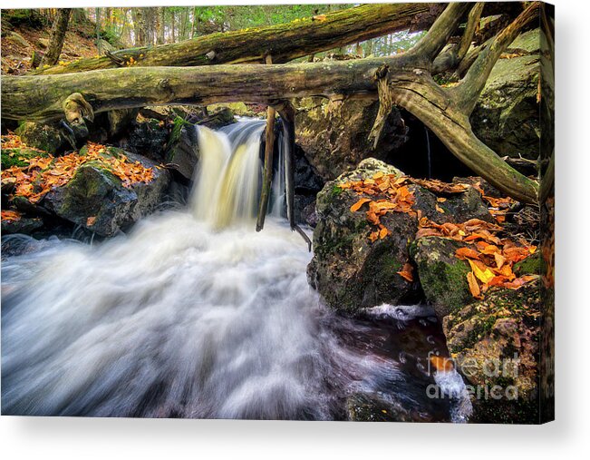 Rgsp Acrylic Print featuring the photograph Above Mohawk Falls, 2016.10.23 by Aaron Campbell