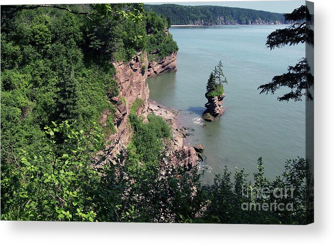 Bay Of Fundy Acrylic Print featuring the photograph Above the Bay of Fundy by Art Cole