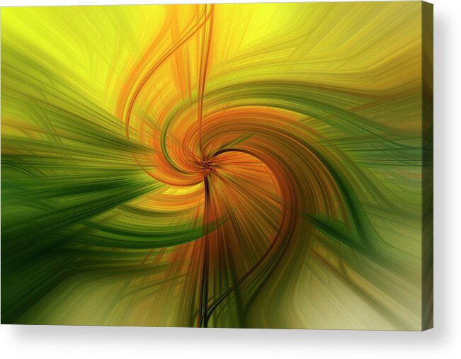 Abstract Acrylic Print featuring the photograph Abstract 12 by Kenny Thomas