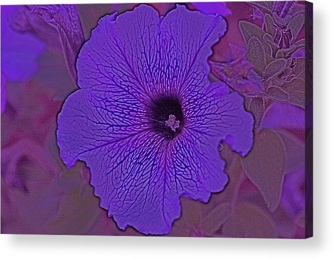 Abstract Acrylic Print featuring the photograph Abstract Flower by Todd Kreuter