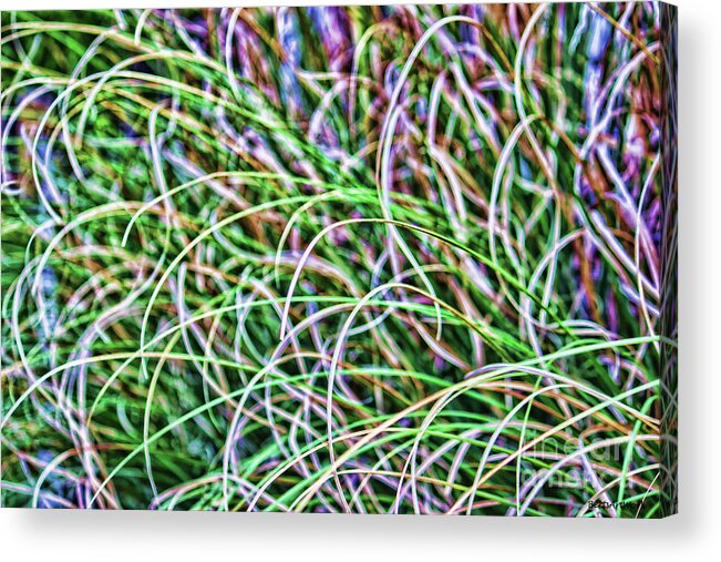 Pompous Grass Acrylic Print featuring the photograph Abstract Grass by Roberta Byram