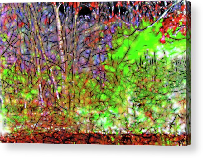 Trees Acrylic Print featuring the photograph Abstract Sunlight on Trees by Gina O'Brien