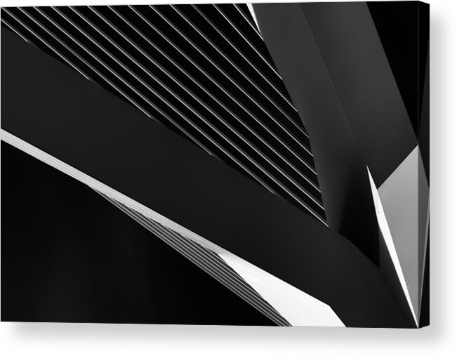 Architecture Acrylic Print featuring the photograph Abstraction Of A Swan by Jeroen Van De Wiel