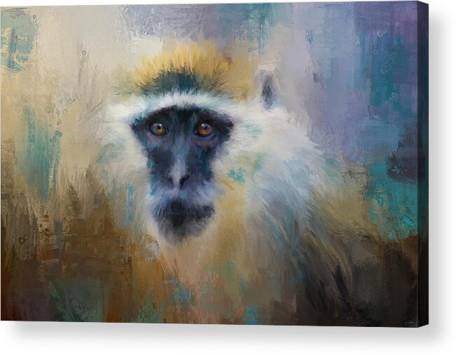 Jai Johnson Acrylic Print featuring the painting African Grivet Monkey by Jai Johnson