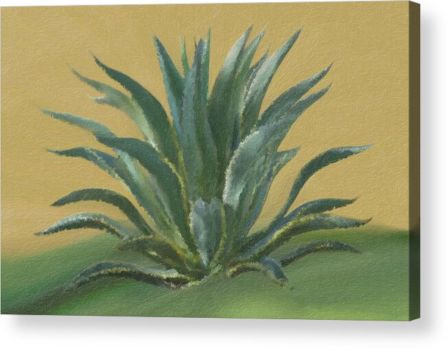 Agave Acrylic Print featuring the painting Agave by DiDesigns Graphics