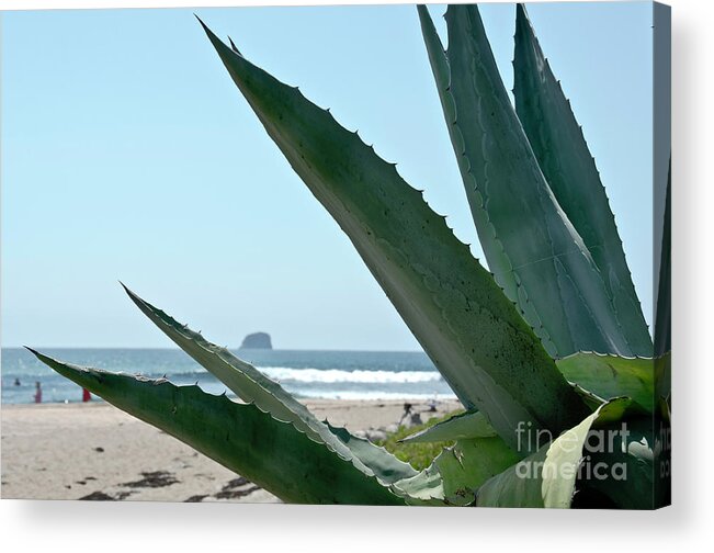 Waves Acrylic Print featuring the photograph Agave Ocean Sky by Yurix Sardinelly