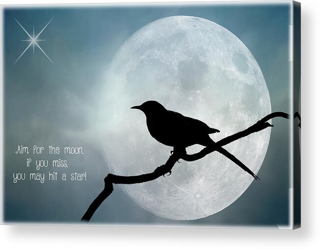 Moon Acrylic Print featuring the photograph Aim For The Moon by Cathy Kovarik