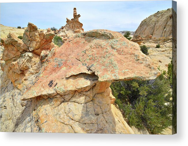 Grand Staircase Escalante National Monument Acrylic Print featuring the photograph Aircraft Carrier by Ray Mathis