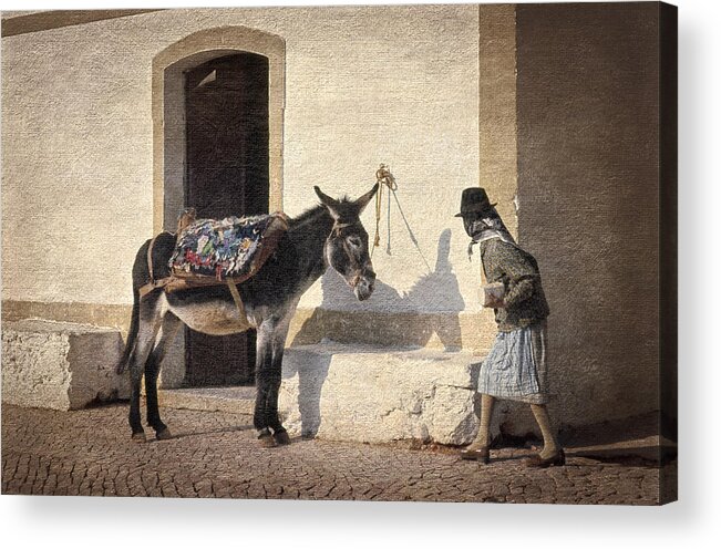 Algarve Acrylic Print featuring the photograph Algarve Donkey by Mikehoward Photography