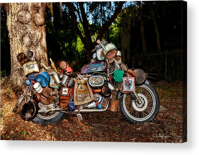 Harley Acrylic Print featuring the photograph All But The Kitchen Sink by Christopher Holmes