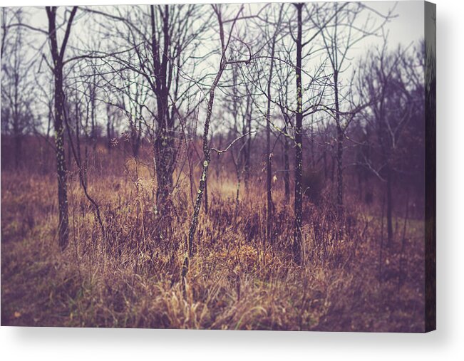 Nature Acrylic Print featuring the photograph All The While by Shane Holsclaw