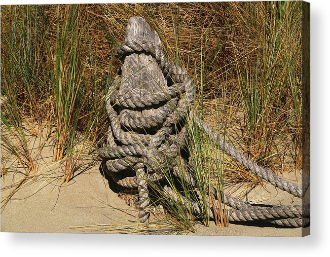 Seashore Acrylic Print featuring the photograph All Tied Up by David Armentrout