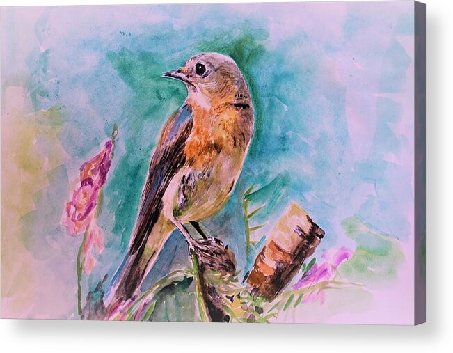 Bird Acrylic Print featuring the painting American blue bird by Khalid Saeed