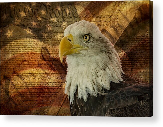 American Bald Eagle Acrylic Print featuring the photograph American Icons by Susan Candelario