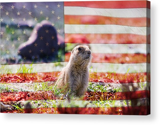 Prairie Dogs Acrylic Print featuring the photograph American Prairie Dog by James BO Insogna