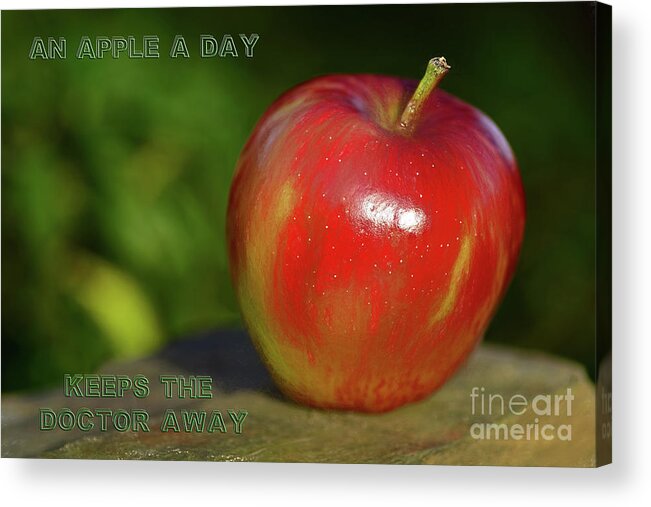 An Apple A Day Acrylic Print featuring the photograph An Apple A Day by Kaye Menner by Kaye Menner