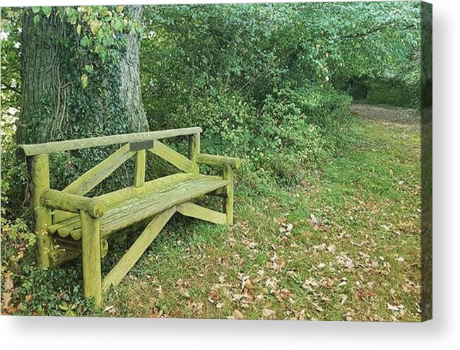 Woodland Acrylic Print featuring the photograph Woodland Seat by Rowena Tutty