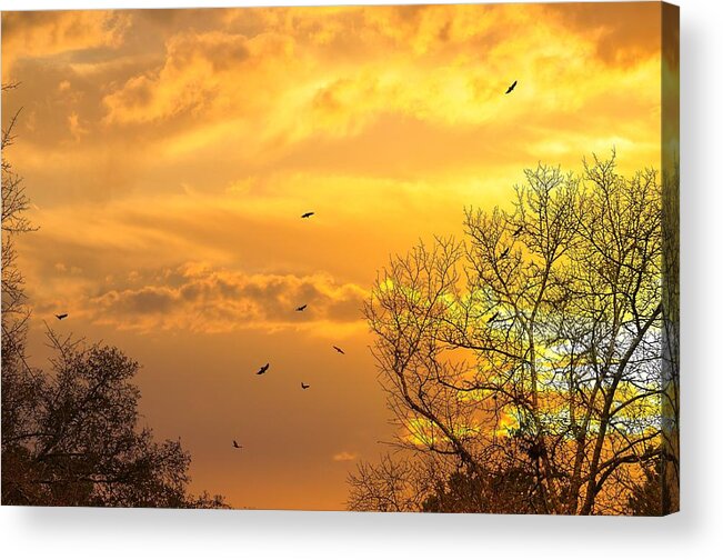 Sunsets Acrylic Print featuring the photograph And Watching The Sun Fall by Jan Amiss Photography