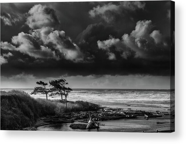 Kalaloch Beach Acrylic Print featuring the photograph Another Day at Kalaloch Beach by Dan Mihai