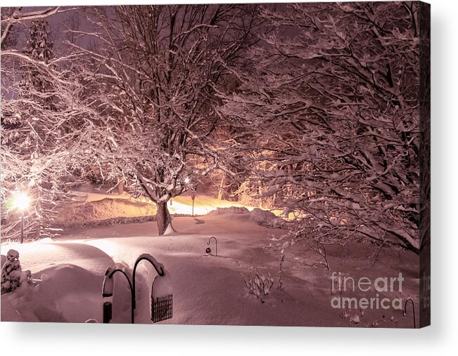 Winter Acrylic Print featuring the photograph Another snow storm by Claudia M Photography