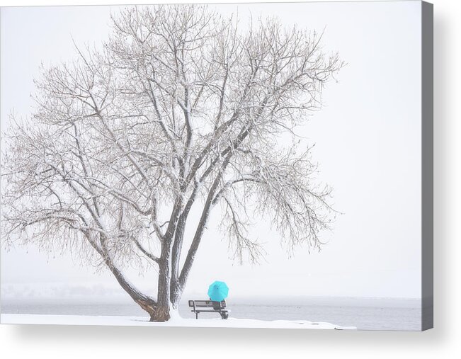 Winter Acrylic Print featuring the photograph Another Winter Alone by Darren White